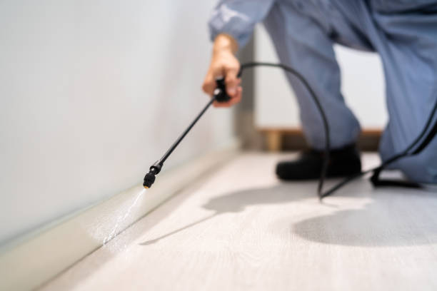 Rodent Entry Point Assessment in Okemos