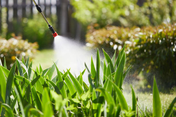 Tamper-Resistant Bait Stations for Rodents in Okemos