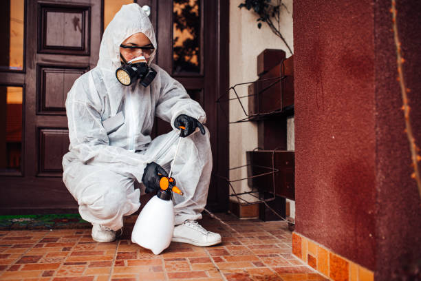 Attic and Crawl Space Rodent Treatment in Okemos