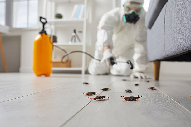 Commercial Rodent Management in Okemos